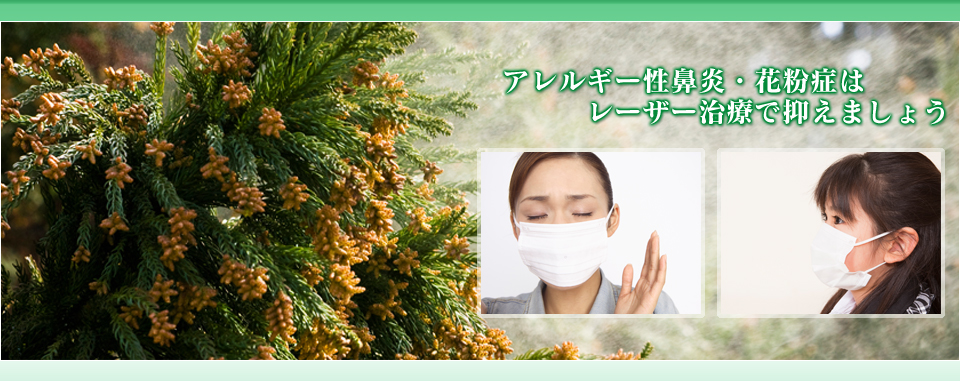 アレルギー性鼻炎・花粉症はレーザー治療で抑えましょう